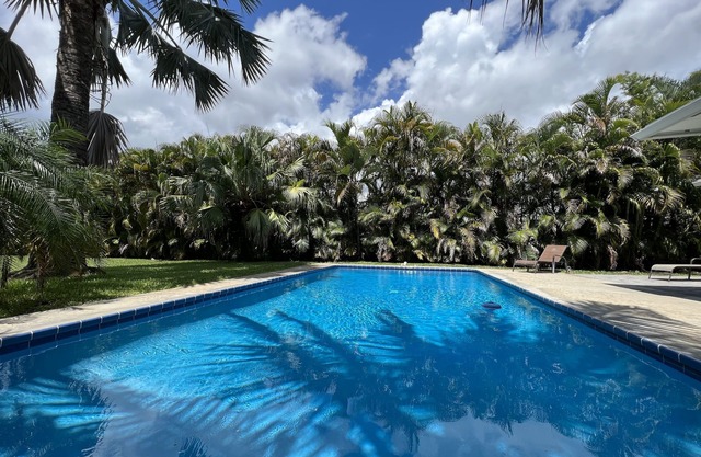 Tropical Getaway!