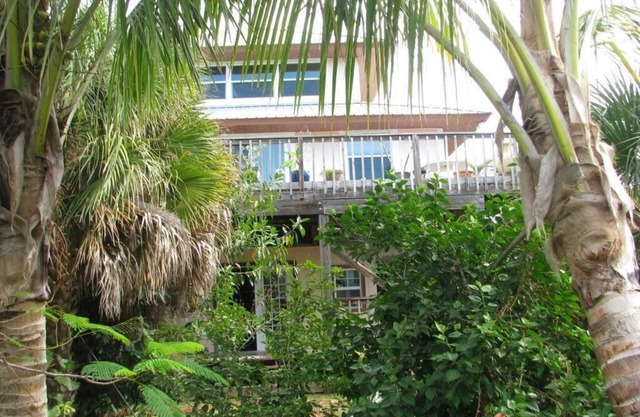 Tropical Home nestled among the coconuts