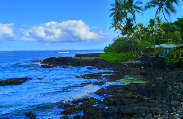 Tropical Paradise Awaits: Stunning Hawaii Condo with Ocean Views!n