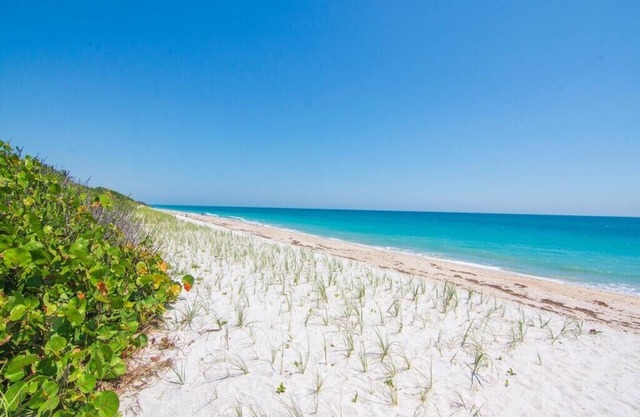 Tropical Paradise, just a short walk to the beach.