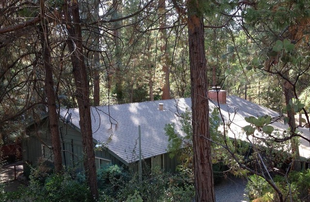Trout Creek Lodge