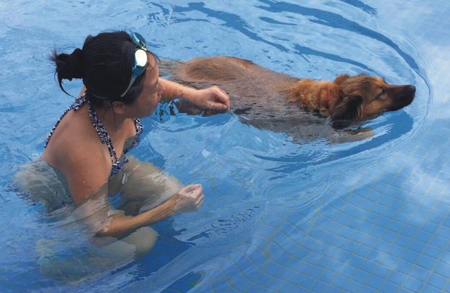 True Love Villa