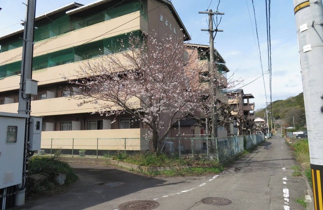 Twin room with 2 single beds Vacation Rental Busin/Sanuki Kagawa