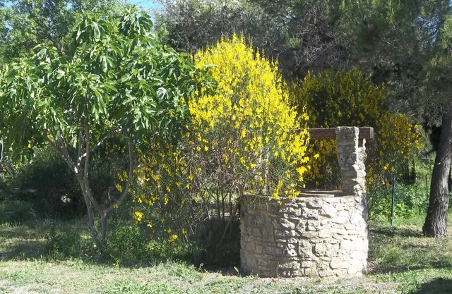 Two bedrooms, in the countryside, near Avignon.