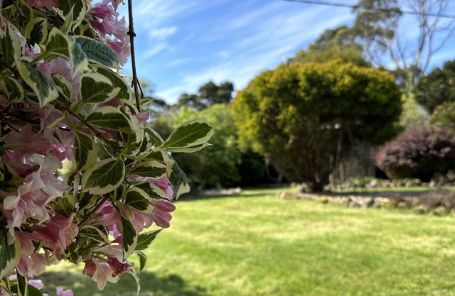 Two Twenty Two Farm Stay