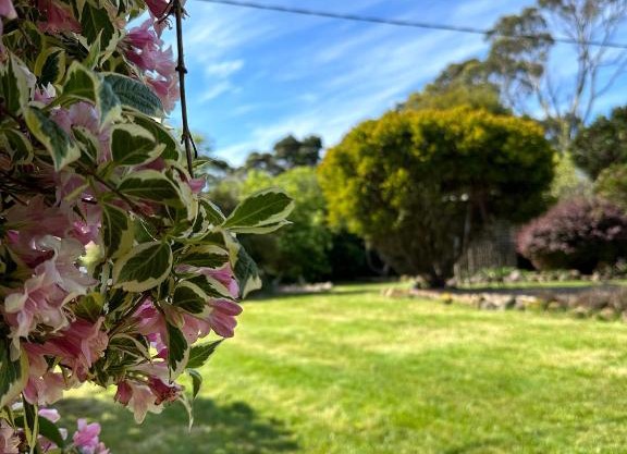 Two Twenty Two Farm Stay