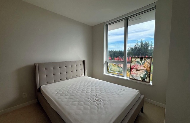 UBC Beautiful Apartment