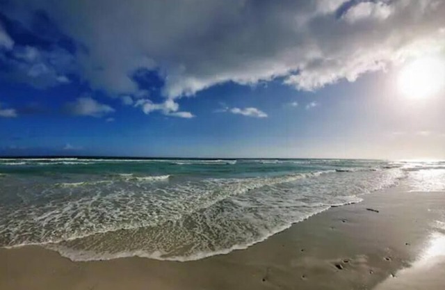 Uitwaaien Beach Cottage - 250m from the beach!