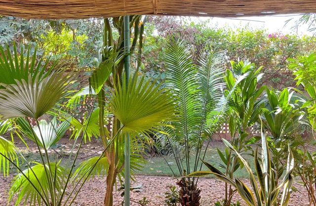 Umoja Guest House