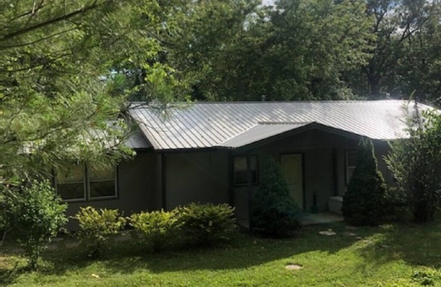 Under Rachael’s Wing