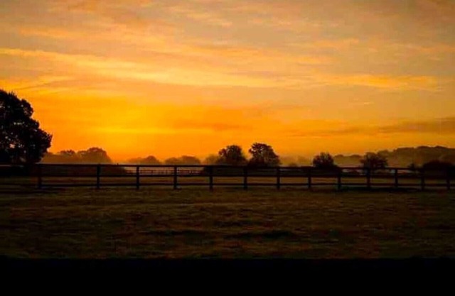 Unique Bell Tent Village, sleeps up to 16, fire pit, gin bar