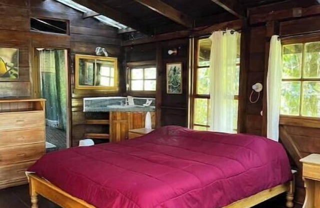 Unique eco-cabin inside cloudforest “PILA”