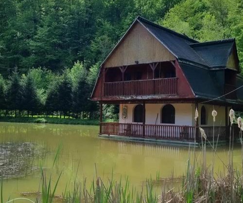Unique House on the Lake