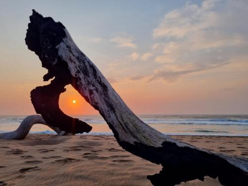 Unit 2 at Place of the Eagle