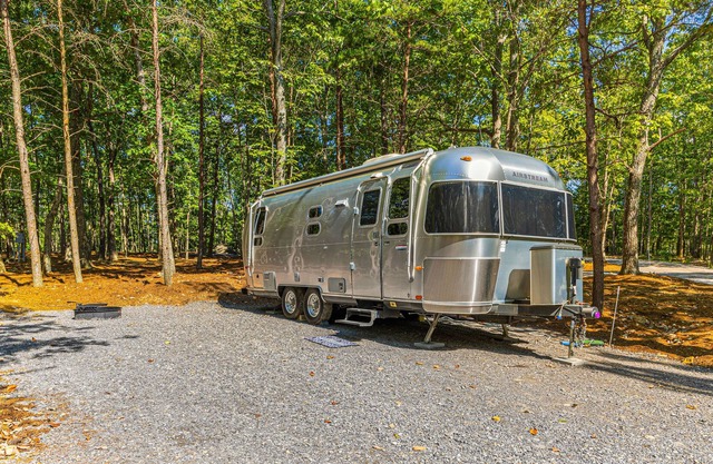 Updated Airstream tucked into trees with firepit, full bathroom & kitchenette