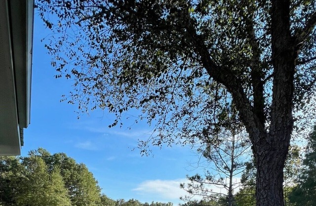 Upscale cabin on 12 acres with stocked pond, great porch, and gourmet kitchen!