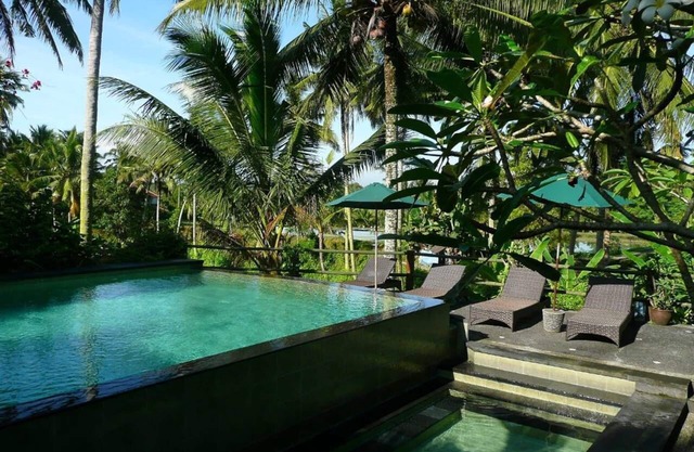 Upstairs 1BR Apartment with Shared Pool