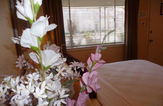 Uptown Dallas – Charming Studio 1B, WiFi, Parking, Near Restaurants & Shops