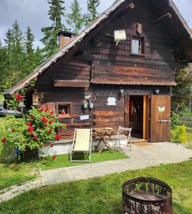Urige Waldbienenhütte