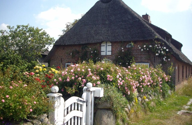 Vacation apartment/apartment for 8 guests with 115m² in Emmelsbüll-Horsbüll (126015)