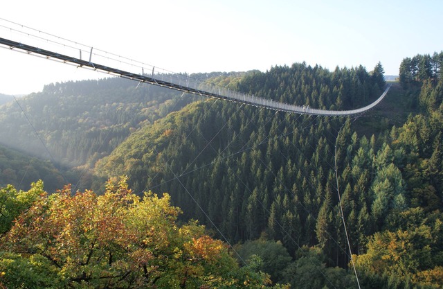 Vacation apartment Adelheid Brachtendorf Suspension rope bridge Geierlay Hunsrück Moselle, 2DZ
