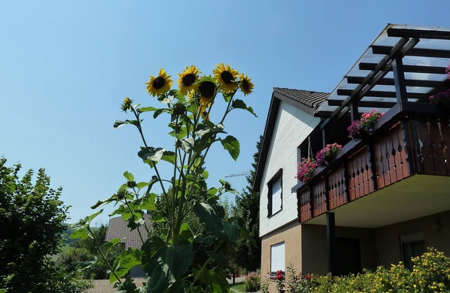 Vacation apartment/apartment for 2 guests with 35m² in Weilheim (116856)