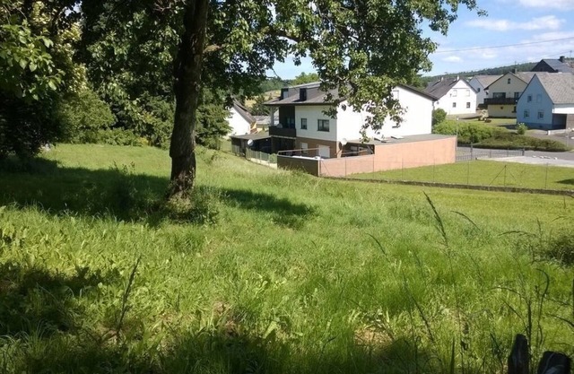 Vacation apartment/apartment for 5 guests with 130m² in Morbach (93242)