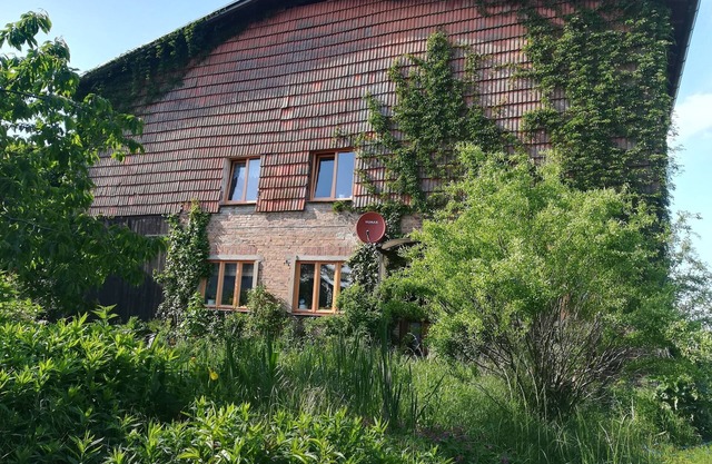 Vacation apartment/apartment for 4 guests with 40m² in Dammerstorf (120572)
