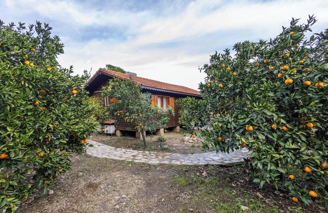 Vacation cottage Dilek Cirali Antalya Turkey