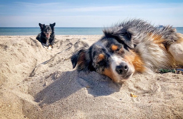 Vacation home for 4 guests with 65m² in Steinbergkirche - Baltic Sea (146677)