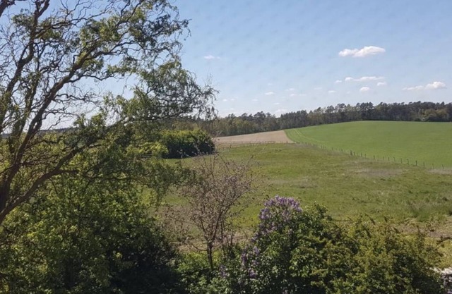 Vacation home Cottage Lüneburger Ostheide/HH - Elbaue farm-pet friendly