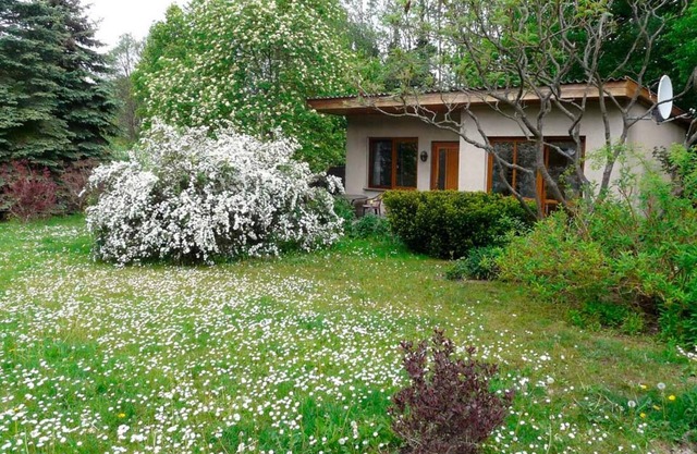 Vacation home for 3 guests with 42m² in Kuchelmiß (155834)