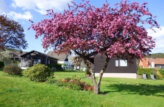 Vacation home for 4 guests with 60m² in Holenberg (272335)