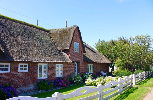 Vacation home for 4 guests with 76m² in Utersum (146719)