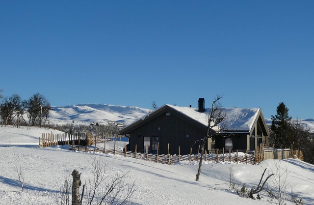 Vacation home for 7 guests with 86m² in Etnedal (266551)