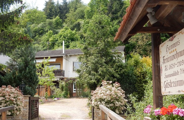 Vacation Home in Monzingen