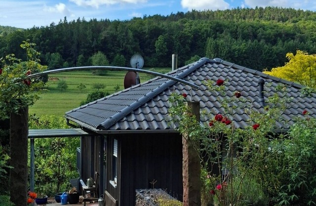 Vacation home near Miltenberg
