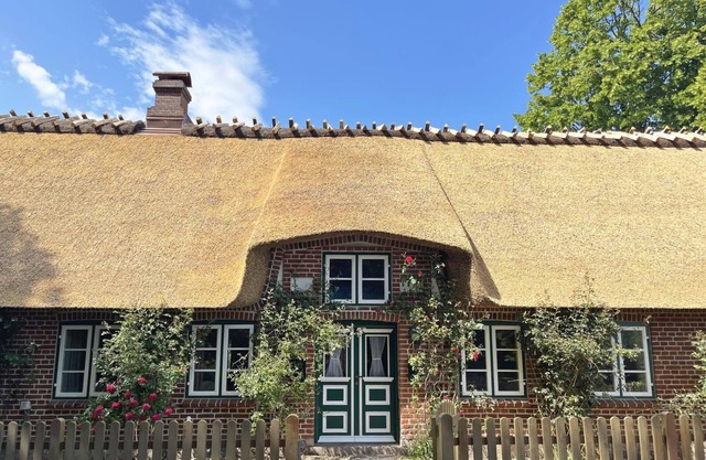 Vacation home thatched roof oasis