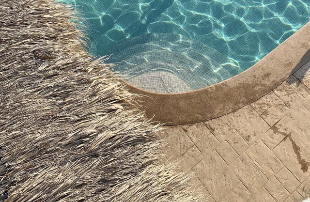 Vacation in complete tranquility