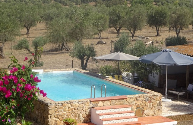 Vacation home on a hill in Alentejo @ New Village