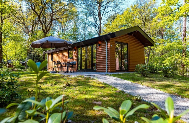 Vakantiepark De Wiltzangh - Velthorst 4