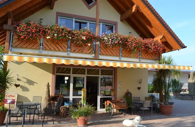 Vakantiewoning in Zwarte Woud