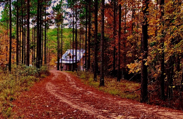 VALKYRIE Secluded Romantic River Cabin River and Mountain Views Log/Stone Cabin