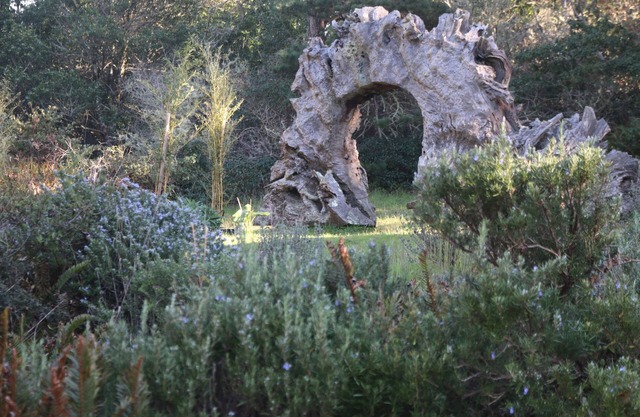 Van der Ryn Eco-Refuge: Architecture in Nature