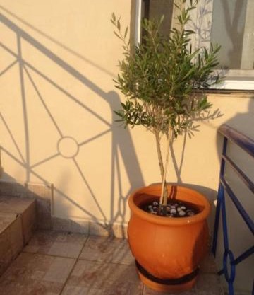 Velika seaside Apartment