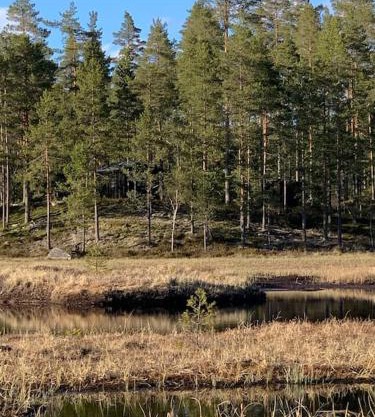 Velkommen til Finnskogen og minihytta Rimbila
