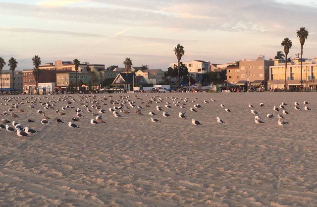 Venice Beach Studio Steps To The Sand With Parking at Property