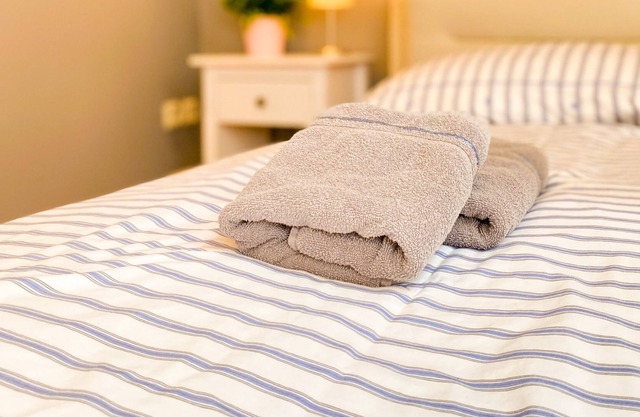 very nice, spacious apartment 2-7 pers. with bathtub, parking space, WiFi