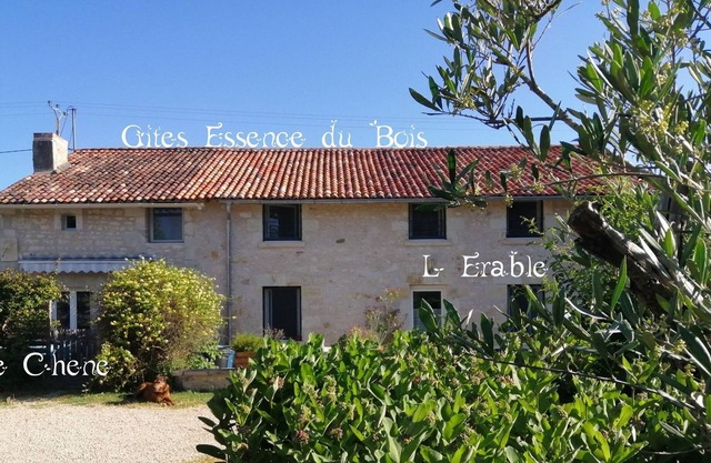 Very nice gîte for 10 people 8 mins from Futuroscope