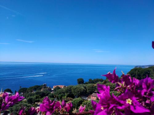 Villa Azur Cap 